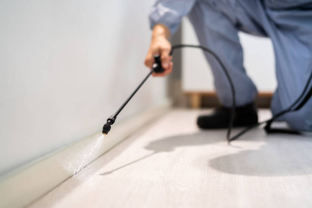 Licensed Pest Control service in Oxford, MI - Show Me Pest Control