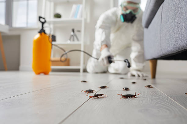 Post-Treatment Bed Bug Interceptor Monitoring in Oxford