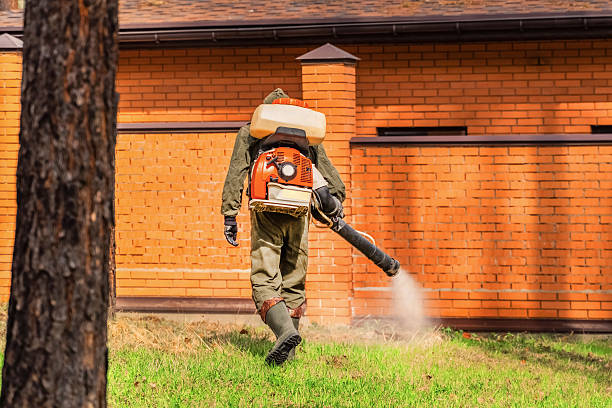 Bed Bug Clearance Verification and Documentation in Oxford